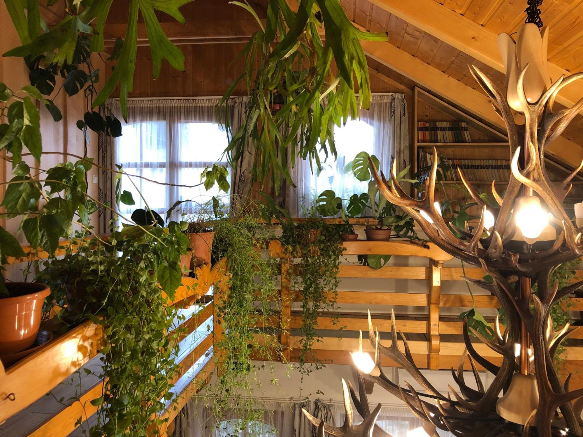 Tiszafa Vendégház Szentgál Extérieur photo