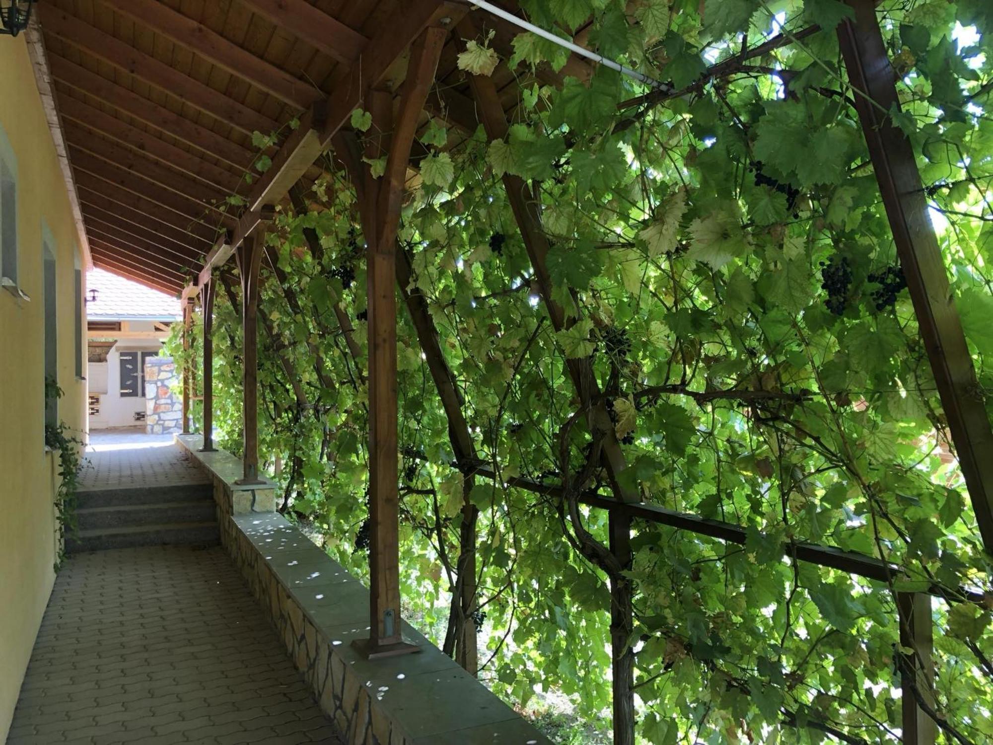 Tiszafa Vendégház Szentgál Extérieur photo
