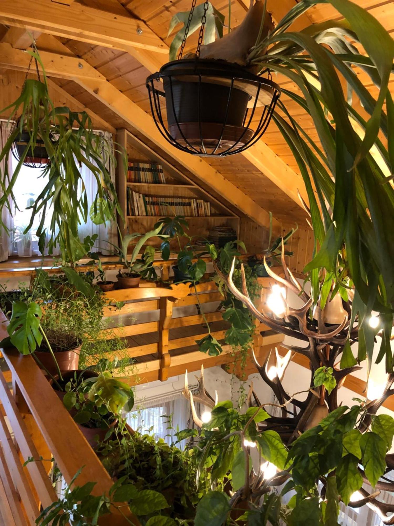 Tiszafa Vendégház Szentgál Extérieur photo