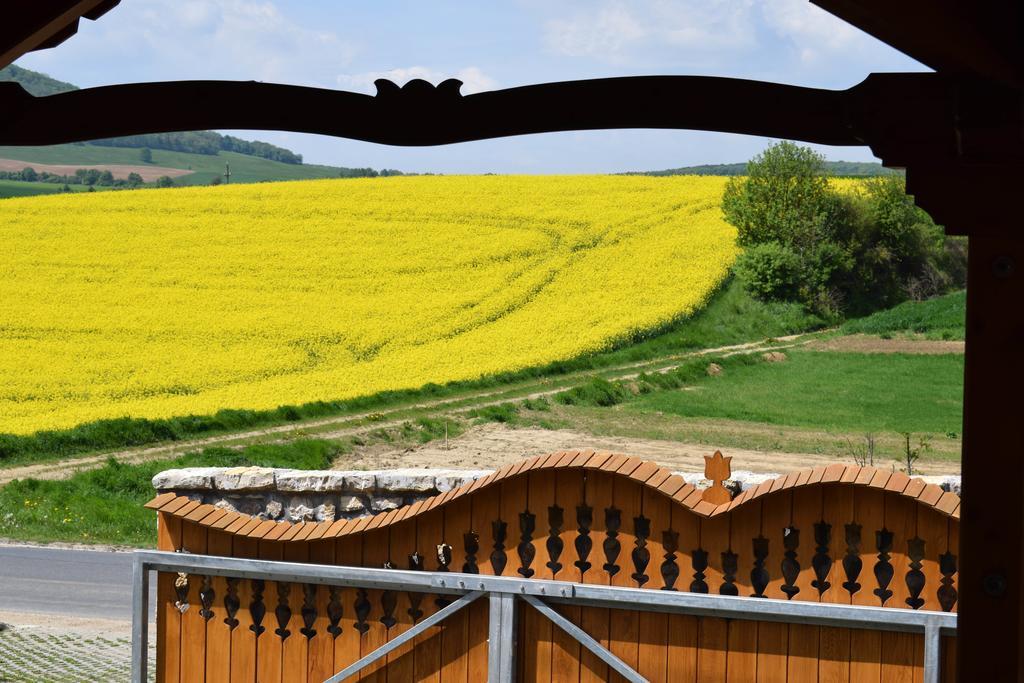 Tiszafa Vendégház Szentgál Extérieur photo